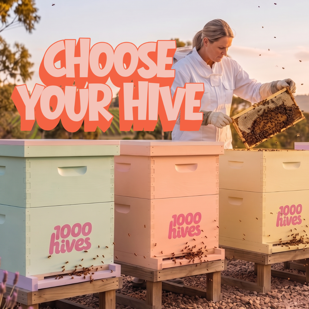 Choose Your Hive