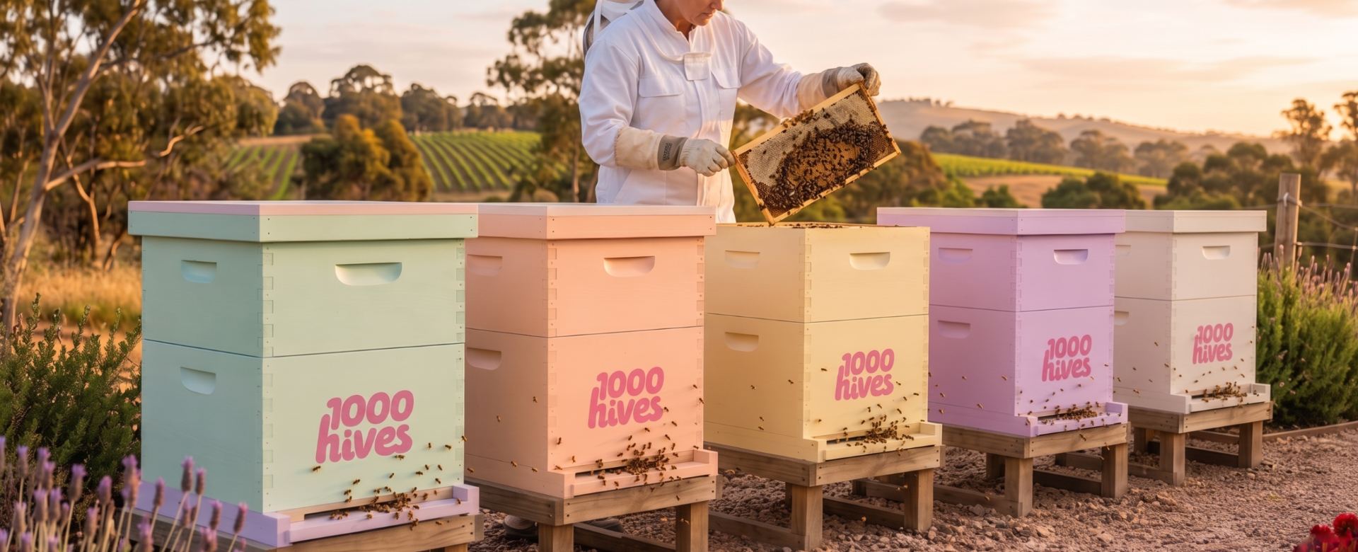 Bee hives on an Australian farm