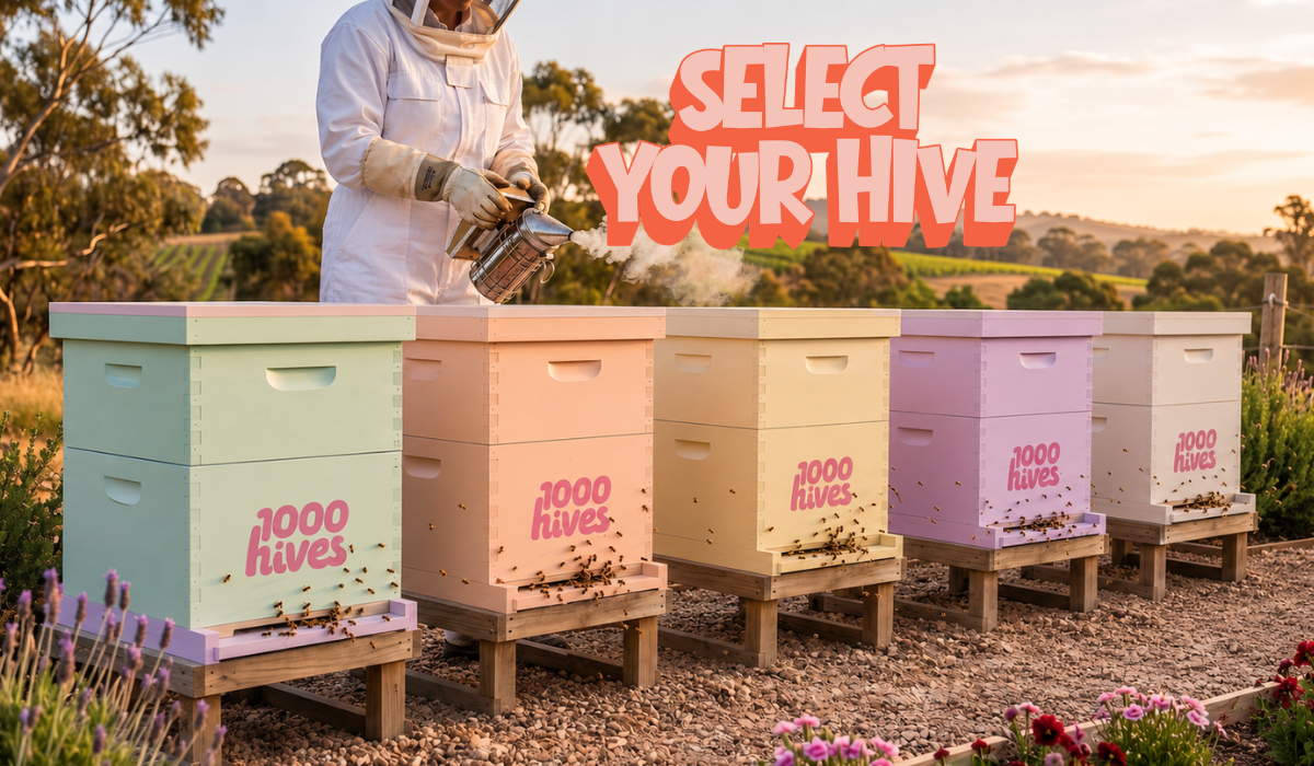 Sponsor a Hive