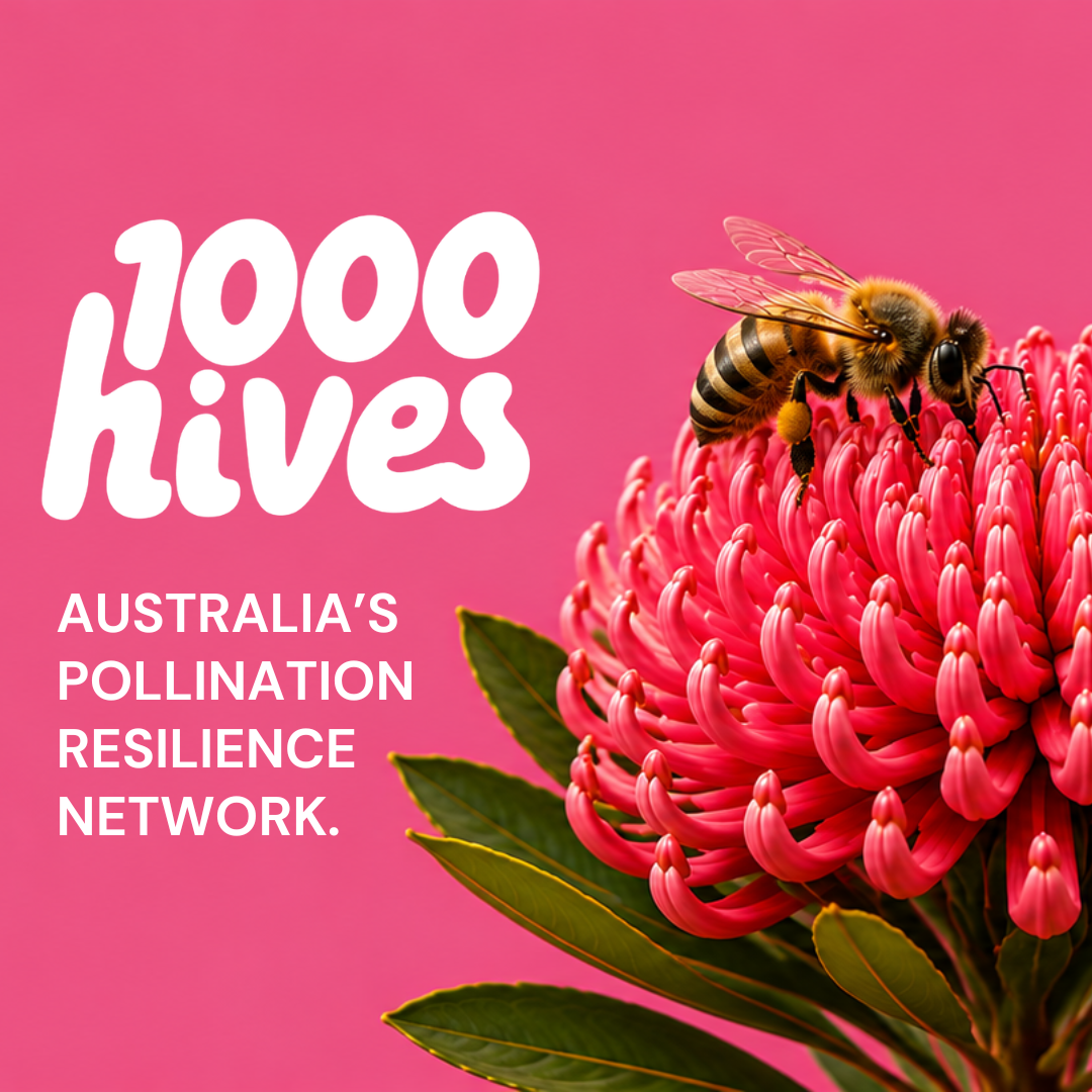 1000 Hives Hero