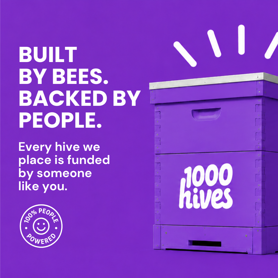 1000 Hives Hero